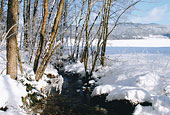 Bayerischer Wald Winter in Bayern